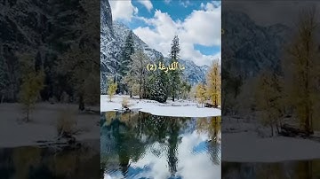 سورة القارعة ياسر الدوسري احلى راحه نفسيه تحتاجه في اقل من دقيقة 🌸♥