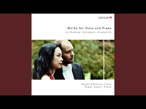 Viola Sonata No. 2 in E-Flat Major, Op. 120: III. Andante con moto