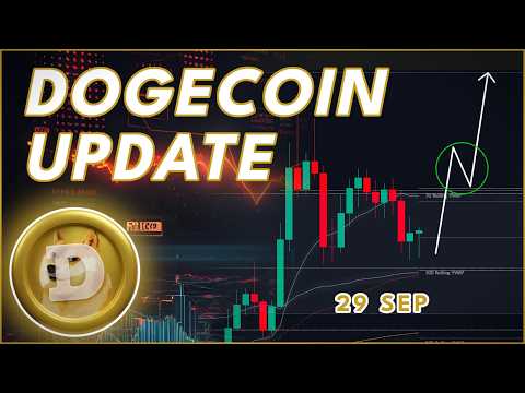 APAKAH KAMU HARUS MEMBELI DOGECOIN SEKARANG? (Pembaruan Dogecoin)