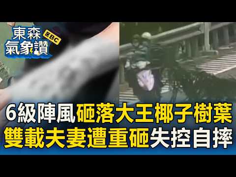 A level 6 gust of wind hit Chiayi, knocking down leaves from a giant palm tree! A couple in a car...