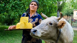 صناعة الجبن - صنع الجبن من حليب البقر الطازج