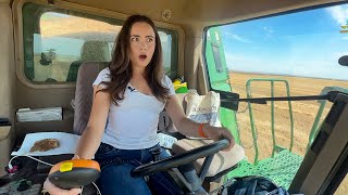 Fear Strikes: Snake Encounter During Harvest + BIG DEBATE by Kate's Ag - Farm to Fashion 79,454 views 9 days ago 18 minutes