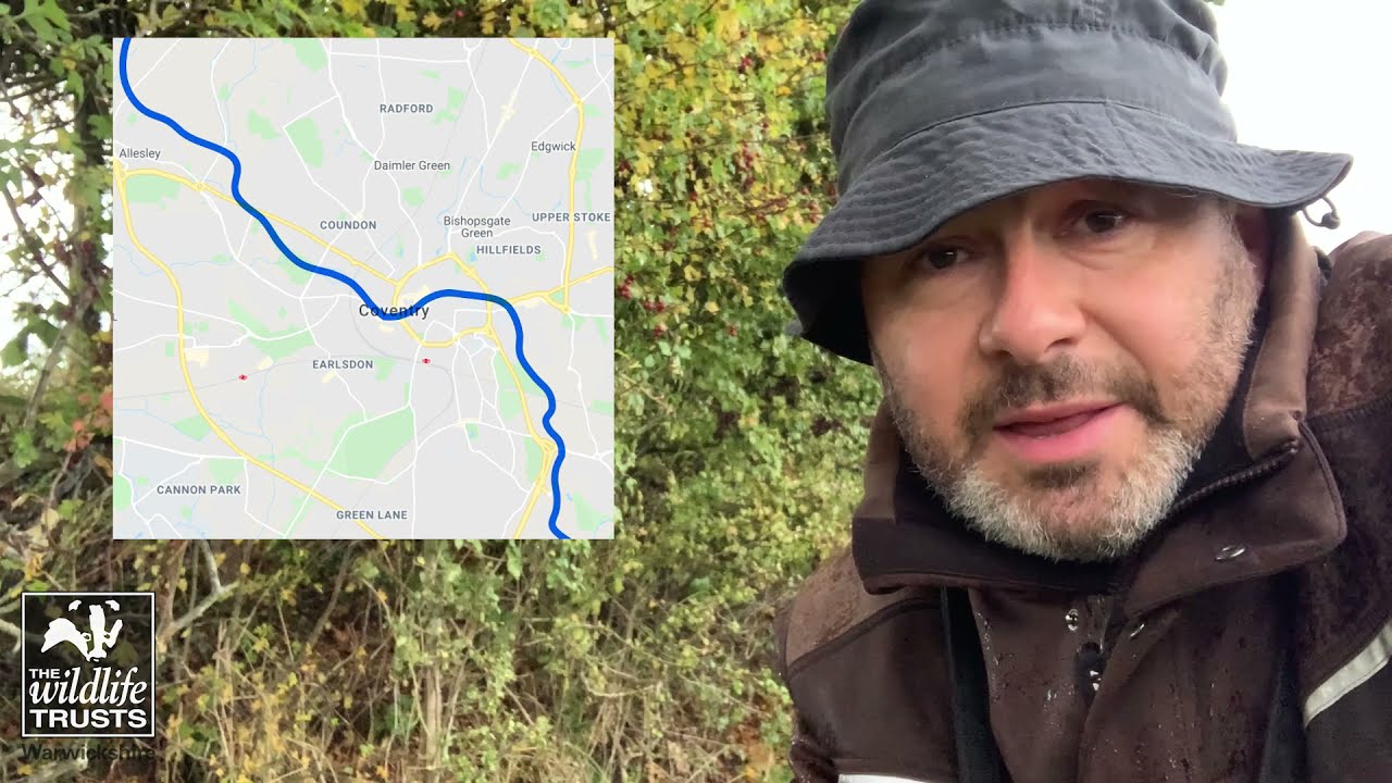 Leaky Barriers in Action!