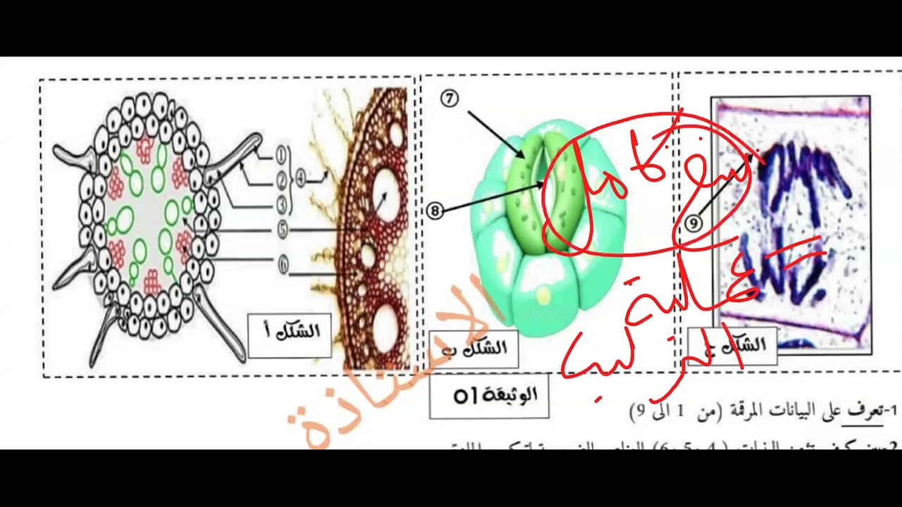 فرض محروس ثانى فى العلوم الطبيعية السنة اولى ثانوي علوم منهجية حل موضوع الجزء الاول حصة  zoom مسجلة