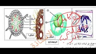 فرض محروس ثانى فى العلوم الطبيعية السنة اولى ثانوي علوم منهجية حل موضوع الجزء الاول حصة  zoom مسجلة