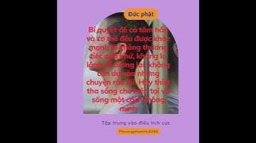 Tập trung vào điều tích cực #ứng dụng luật hấp dẫn và sức mạnh tiềm thức