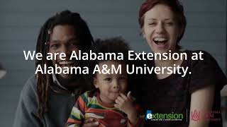 How Does Extension Work: Alabama Extension at Alabama A &amp; M University