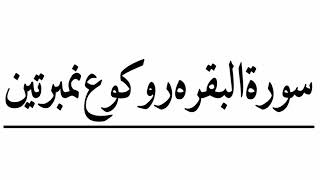 Surah Al Baqarah |3rd Ruku | Balti Translation With Subtitle| Apo Abdul Kareem