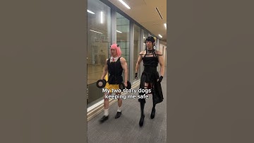 Spy x Family: Loid’s Scary Dog Privilege