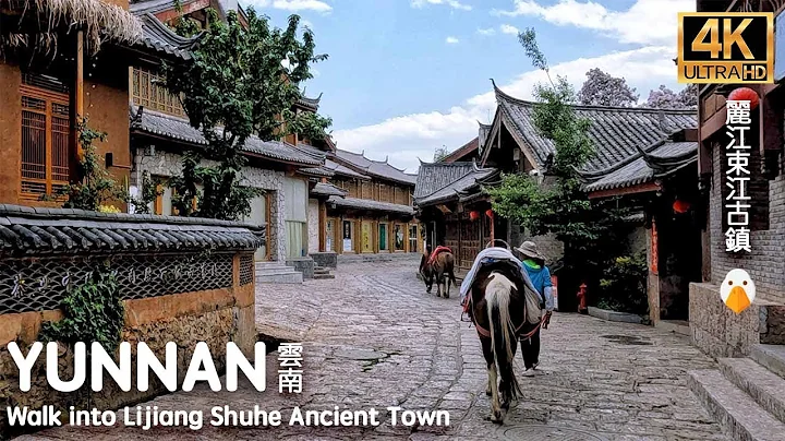 Shuhe Ancient Town, Lijiang, Yunnan🇨🇳 Beautiful World Heritage Ancient Town (2022) - DayDayNews
