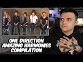 One Direction Amazing Harmonies REACTION