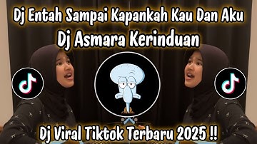 DJ ENTAH SAMPAI KAPANKAH KAU DAN AKU - DJ ASMARA KERINDUAN MEYDA RAHMA | DJ TIKTOK TERBARU 2025