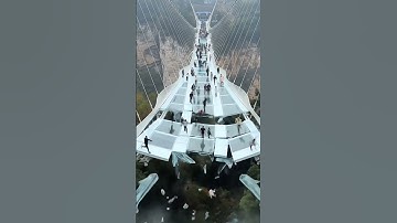 glass bridge collapses in an instant #disaster #travel #glassbridge