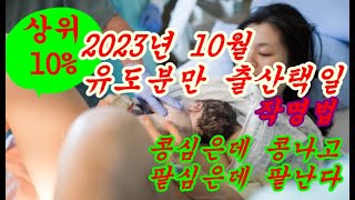 2023년10월 상위10%  유도분만 출산택일 신생아 작명하는법
