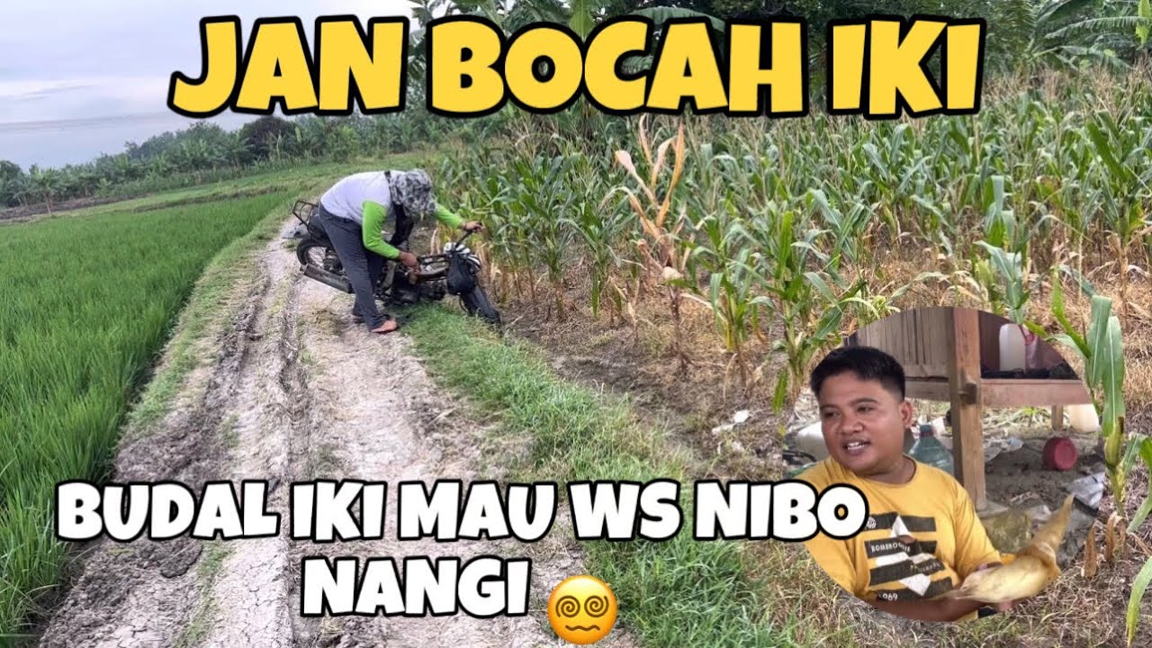 BANGETEN BUDAL NANG TEGALAN SAMPEK TIBO KO MOTOR PING 4 - YouTube