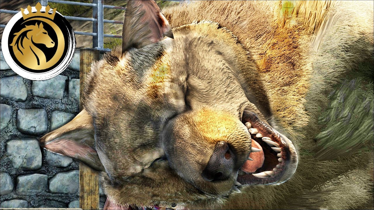 Ark türkçe Ulukurt Evcilleştirme | ARK Survival Evolved The Center (MODSUZ) I S1B39