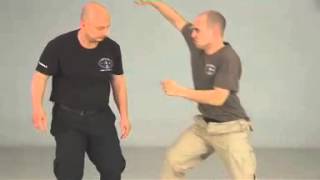 Russian Systema, Disarm Techniques