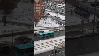 Автобус 166 Ст. М. Старая Деревня - Шуваловский пр.