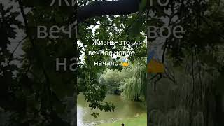 #Жизнь -это вечное новое Начало# Taro Natascha #Shorts#