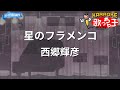 【カラオケ】星のフラメンコ/西郷輝彦