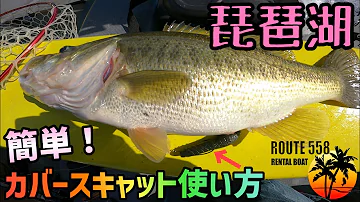 琵琶湖バス釣り 格安免許不要の2馬力レンタルボートで琵琶湖秋のバス釣り 秋は魚がいっぱい 琵琶湖南湖西岸のroute558にてバスフィッシング 下坂本 赤井鳥居 カネカ裏の沖など有名ポイントを狙う Mp3