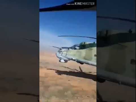 زوار جينا زحوف حالات 