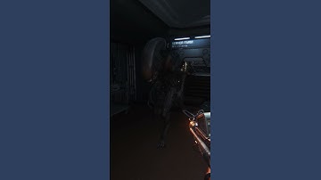 Alien Isolation Just a little glitch