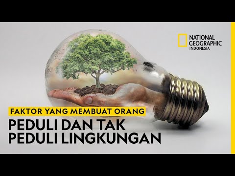 Video: Apakah yang boleh dilakukan oleh seseorang individu terhadap perubahan iklim?