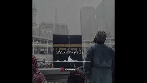 نبى عبادي اني انا الغفور الرحيم ارح سمعك قلبك تلاوه قران كريم خشوع حالات واتساب مقاطع انستقرام قرأن