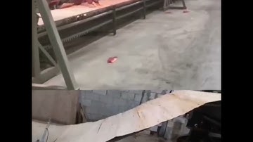 core veneer composer/veneer builder and automtic rolling machine(plywood machine) working video