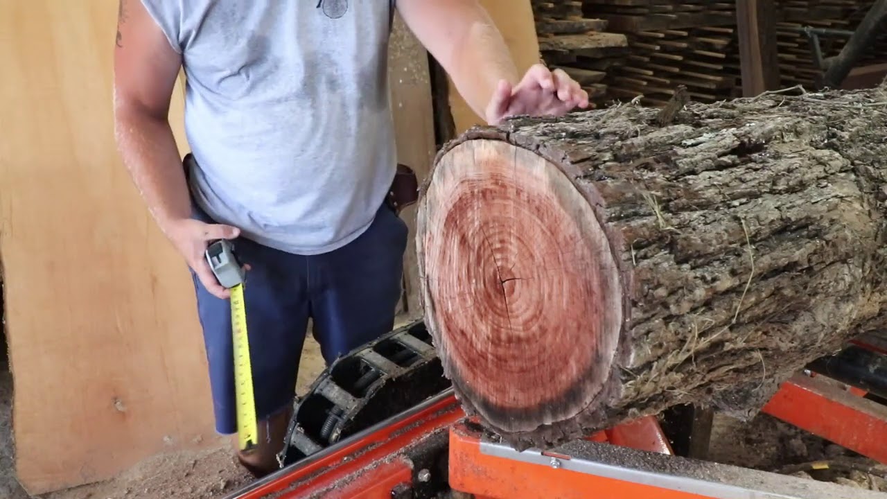 SawMilling Incredible Walnut Boards & Finding Black Gold Under The
