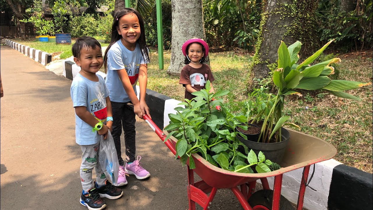 Zara Cute belajar Mengolah Sampah | Indahnya Kebun di Rumah dan Kebun Karinda | Homeschooling