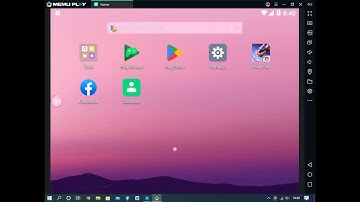 Memu Network Settings
