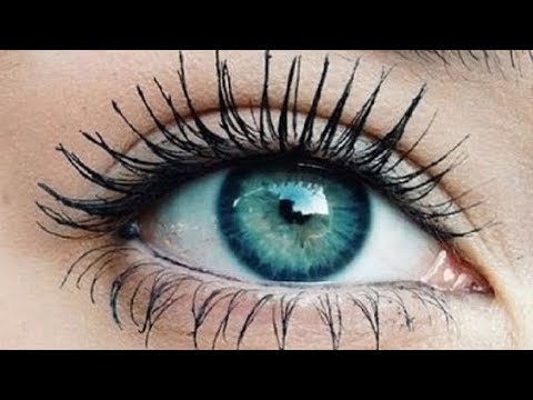   2021 افضل ماسكارا 2021