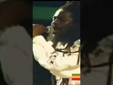 Dennis Brown X Should I Live Dancehall Reggae Reels Oldisgold Dennis Brown X Should I Live Dancehall Reggae Reels Oldisgold