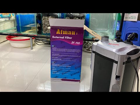 Video Lọc Thùng Atman Df 700 Có cứu Nổi Bể Cá Đục Khi Tràn... - youtube