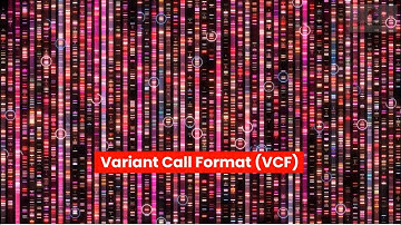 Variant Call Format (VCF)
