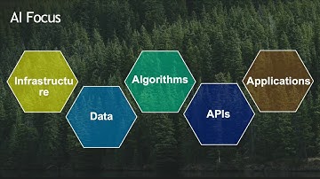 Tanya Berger Wolf AI and Humans Combating Extinction Together Machine Learning for Conservation 1