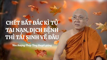 VẤN ĐÁP PHẬT PHÁP l CHẾT BẤT ĐẮC KÌ TỬ ,TAI NẠN, DỊCH BỆNH THÌ TÁI SINH VỀ ĐÂU