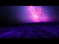 Kaskade - Never Sleep Alone (Osen Remix)