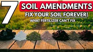 Famous 7 Secret Soil Amendments That Triple Your Harvest (Science-Backed Results) Profile