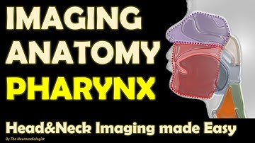 Imaging Anatomy of the Pharynx