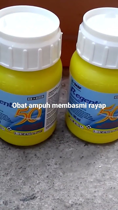 Obat ampuh membasmi rayap#shorts