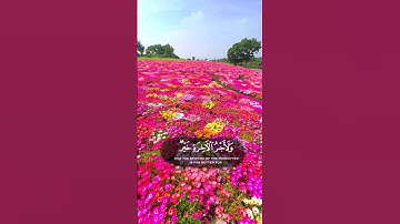 {  وَلَأَجرُ الآخِرَةِ خَيرٌ لِلَّذينَ آمَنوا وَكانوا يَتَّقونَ } #قرآن #quran #سورة_يوسف