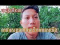 មេរៀនទី២៣គាថាសេពអោយគេនឹកមករកយើង@KidsDianaShow #kitten