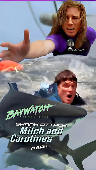 When the Shark Struck Mitch and Carolines Heart-Stopping Encounter