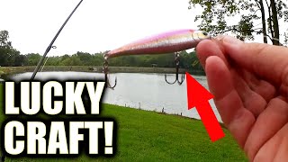 Fishing For Bass With a Lucky Craft Pointer Jerkbait! (Baitcasting) 