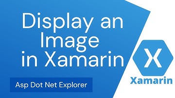 How to Display Image in Xamarin Forms | Show Image | Image View