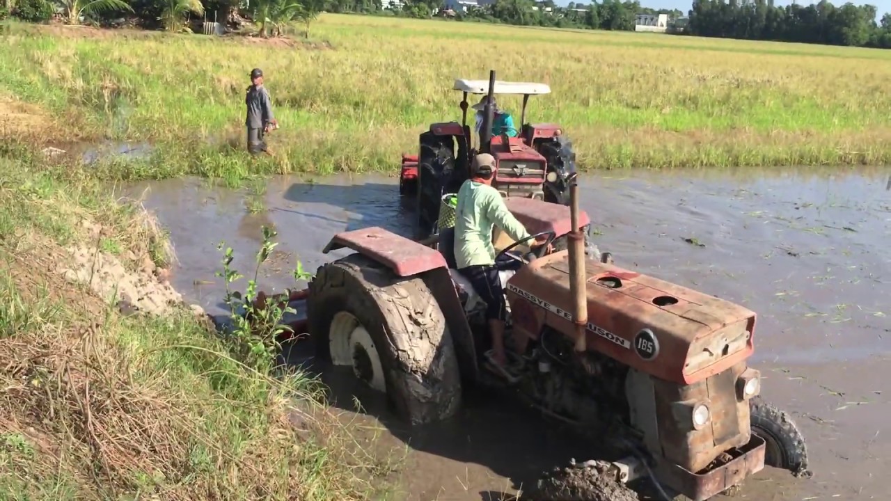 Massey ferguson 185