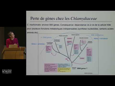 Infections chroniques et récurrentes (5) - Philippe Sansonetti (2018-2019)